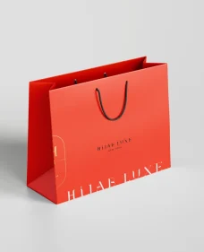 business branding packaging bag
